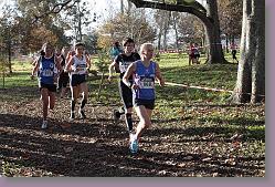 Begles 15.12.13 01 734 * 679 x 453 * (218KB)